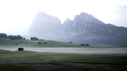 50113207107_f7f87d31b2_o